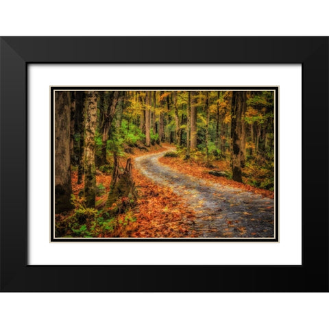 Path In Greenbrier Watercolor Black Modern Wood Framed Art Print with Double Matting by Galloimages Online