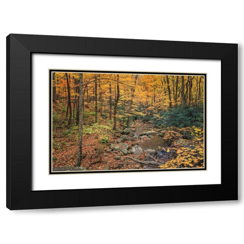 Roaring Fork Stream Black Modern Wood Framed Art Print with Double Matting by Galloimages Online
