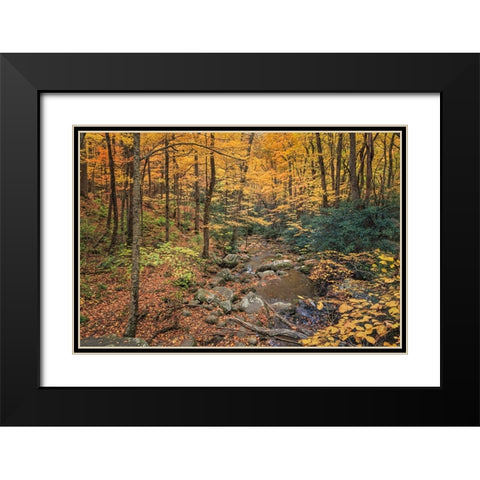 Roaring Fork Stream Black Modern Wood Framed Art Print with Double Matting by Galloimages Online