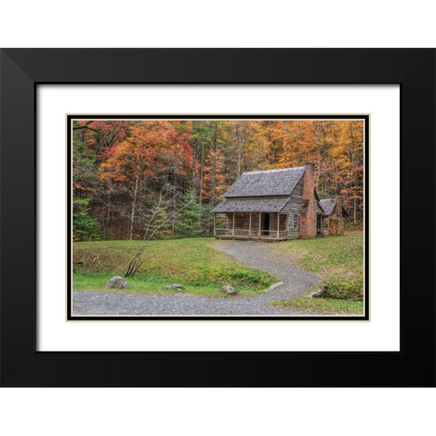 Smokies Cabin 2 (Hw) Black Modern Wood Framed Art Print with Double Matting by Galloimages Online