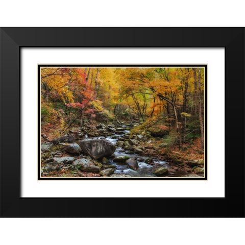 Tremont Stream Watercolor Black Modern Wood Framed Art Print with Double Matting by Galloimages Online