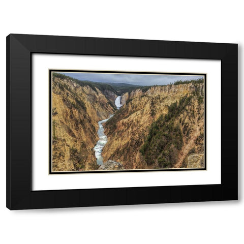 Yellowstone Grand Canyon - Lower Falls Black Modern Wood Framed Art Print with Double Matting by Galloimages Online