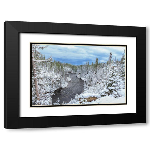 Yellowstone Winter In Fall Black Modern Wood Framed Art Print with Double Matting by Galloimages Online