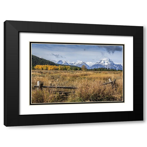 GTNP Scene Mt. Moran Black Modern Wood Framed Art Print with Double Matting by Galloimages Online