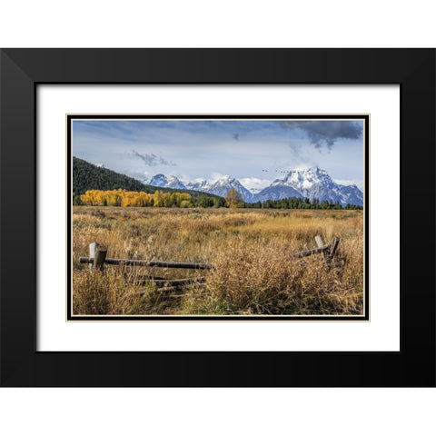 GTNP Scene Mt. Moran Black Modern Wood Framed Art Print with Double Matting by Galloimages Online