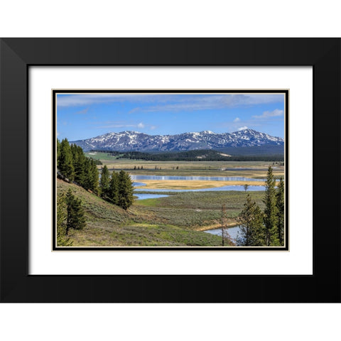 Hayden Valley (YNP) Black Modern Wood Framed Art Print with Double Matting by Galloimages Online