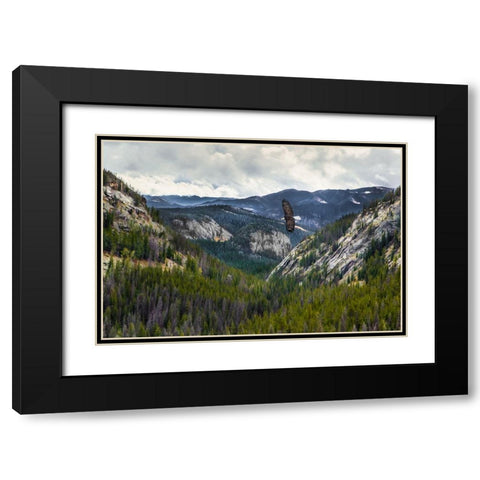 Mountains With Eagle Black Modern Wood Framed Art Print with Double Matting by Galloimages Online