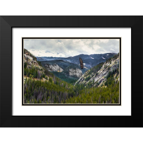 Mountains With Eagle Black Modern Wood Framed Art Print with Double Matting by Galloimages Online