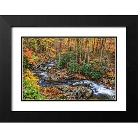 Tremont Stream Black Modern Wood Framed Art Print with Double Matting by Galloimages Online