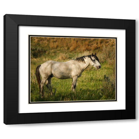 Wild Horse Black Modern Wood Framed Art Print with Double Matting by Galloimages Online
