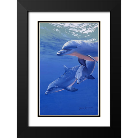 Dolphin Smile Black Modern Wood Framed Art Print with Double Matting by Stevenson, Graeme