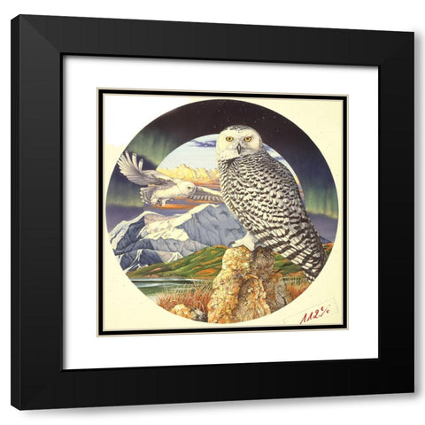 Northern Lights Black Modern Wood Framed Art Print with Double Matting by Stevenson, Graeme
