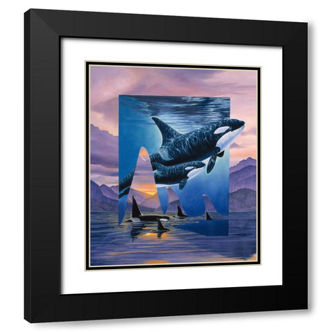 Orca Song Black Modern Wood Framed Art Print with Double Matting by Stevenson, Graeme