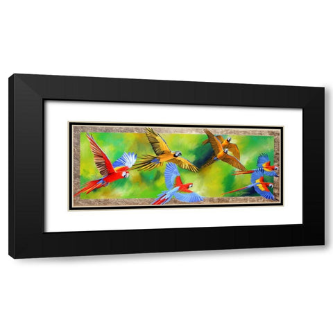 Parrot Party Black Modern Wood Framed Art Print with Double Matting by Stevenson, Graeme