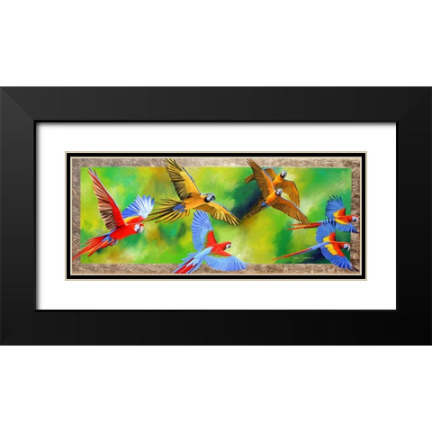 Parrot Party Black Modern Wood Framed Art Print with Double Matting by Stevenson, Graeme