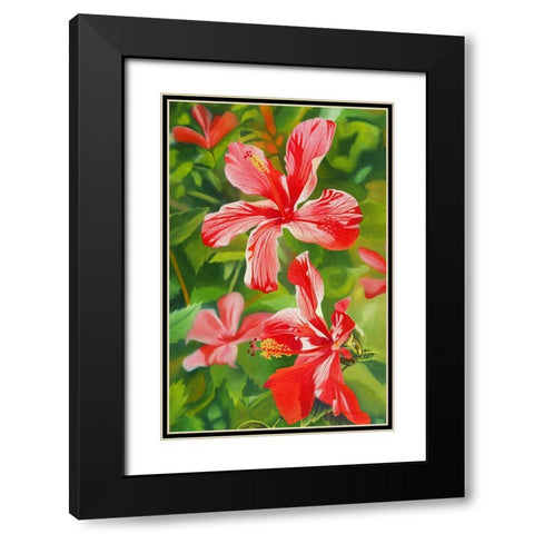 Red Hibiscus 3 Black Modern Wood Framed Art Print with Double Matting by Stevenson, Graeme