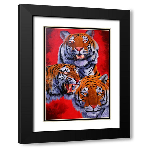 Tigers Black Modern Wood Framed Art Print with Double Matting by Stevenson, Graeme