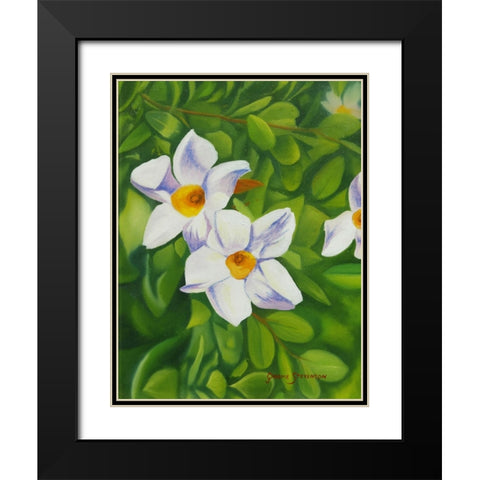 White Flower Black Modern Wood Framed Art Print with Double Matting by Stevenson, Graeme
