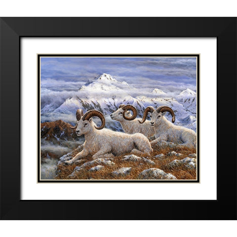 Denali Rams Black Modern Wood Framed Art Print with Double Matting by Tift, Jeff