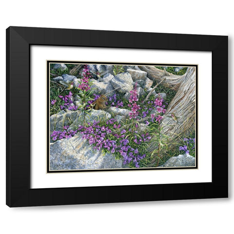 Squirrel Painting Black Modern Wood Framed Art Print with Double Matting by Tift, Jeff