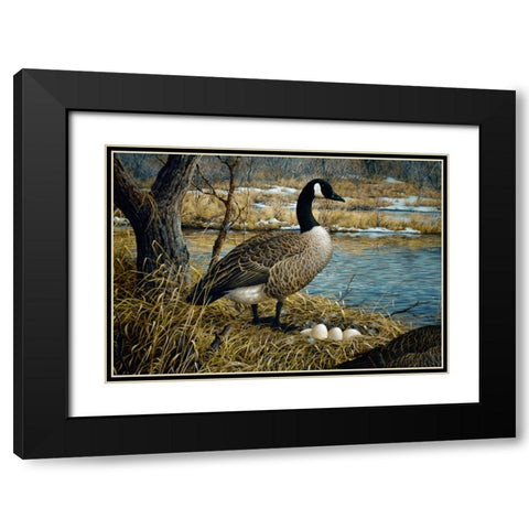 Canadian Goose Black Modern Wood Framed Art Print with Double Matting by Tift, Jeff