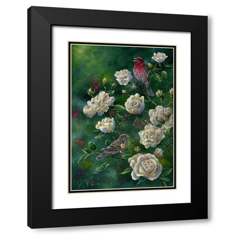 Purple Finch Black Modern Wood Framed Art Print with Double Matting by Tift, Jeff