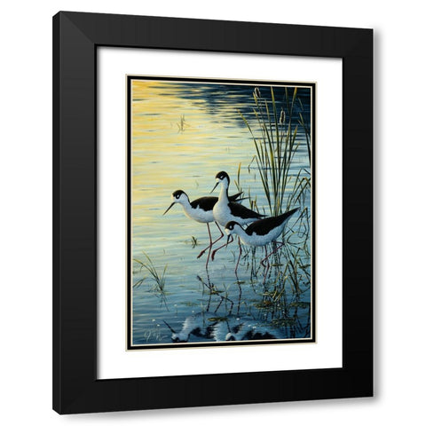 Elegant Trio - Blacknecked Stilts Black Modern Wood Framed Art Print with Double Matting by Tift, Jeff