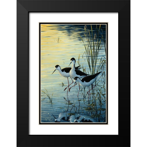 Elegant Trio - Blacknecked Stilts Black Modern Wood Framed Art Print with Double Matting by Tift, Jeff