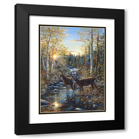 Whitetail Deer Black Modern Wood Framed Art Print with Double Matting by Tift, Jeff