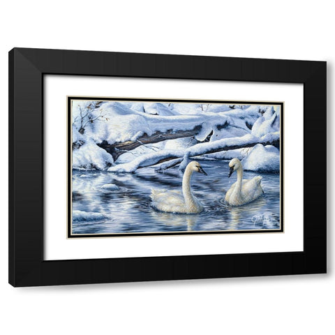 Tundra Swans Black Modern Wood Framed Art Print with Double Matting by Tift, Jeff