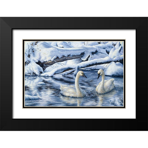 Tundra Swans Black Modern Wood Framed Art Print with Double Matting by Tift, Jeff