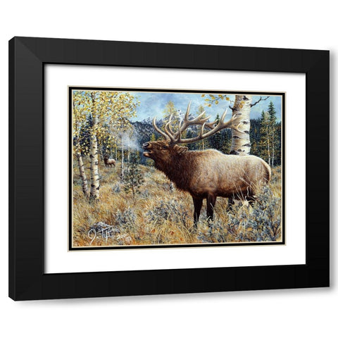 Wapiti Black Modern Wood Framed Art Print with Double Matting by Tift, Jeff