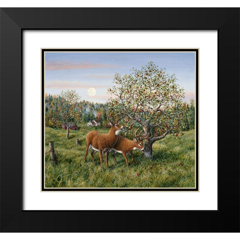 Whitetails Under The Apple Tree Black Modern Wood Framed Art Print with Double Matting by Tift, Jeff