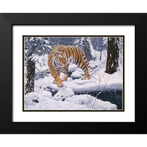 Silent Hunter- Siberian Tiger Black Modern Wood Framed Art Print with Double Matting by Tift, Jeff