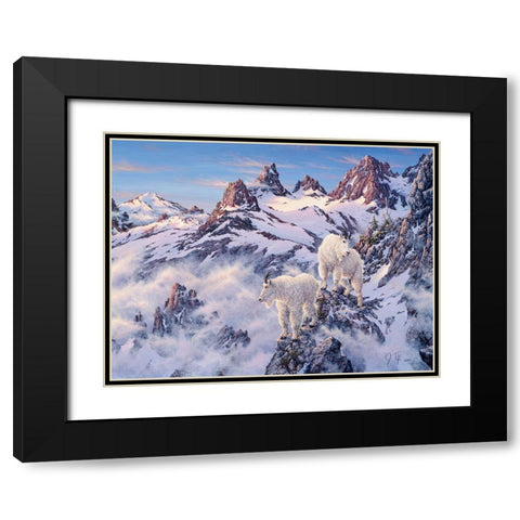 Among The Clouds - Mtn. Goat Black Modern Wood Framed Art Print with Double Matting by Tift, Jeff
