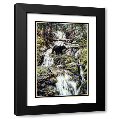 Bear Creek Crossing Black Modern Wood Framed Art Print with Double Matting by Tift, Jeff