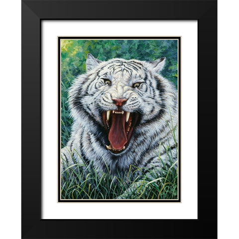 White Tiger 2 Black Modern Wood Framed Art Print with Double Matting by Tift, Jeff