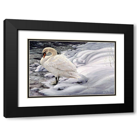 Edge Of Light - Mute Swan Black Modern Wood Framed Art Print with Double Matting by Tift, Jeff