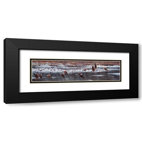 Along The Waterfront Black Modern Wood Framed Art Print with Double Matting by Tift, Jeff