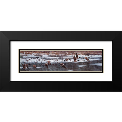 Along The Waterfront Black Modern Wood Framed Art Print with Double Matting by Tift, Jeff