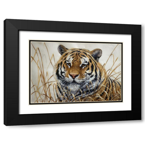 Tiger Black Modern Wood Framed Art Print with Double Matting by Tift, Jeff