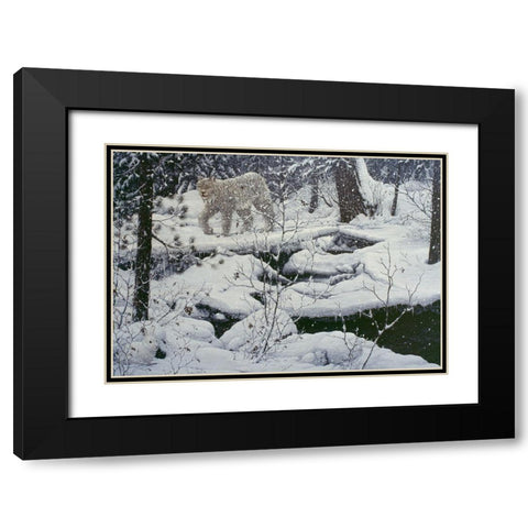 Canadian Lynx And Snowshoe Hare Black Modern Wood Framed Art Print with Double Matting by Tift, Jeff