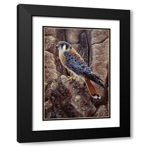 Blue Hawk Black Modern Wood Framed Art Print with Double Matting by Tift, Jeff