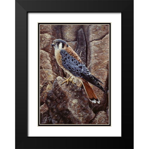 Blue Hawk Black Modern Wood Framed Art Print with Double Matting by Tift, Jeff