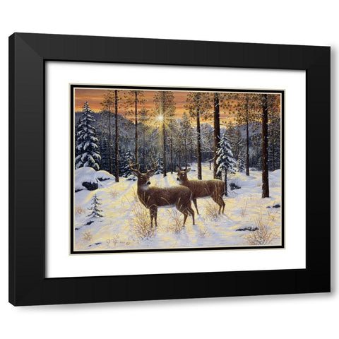 Evening Silence Black Modern Wood Framed Art Print with Double Matting by Tift, Jeff