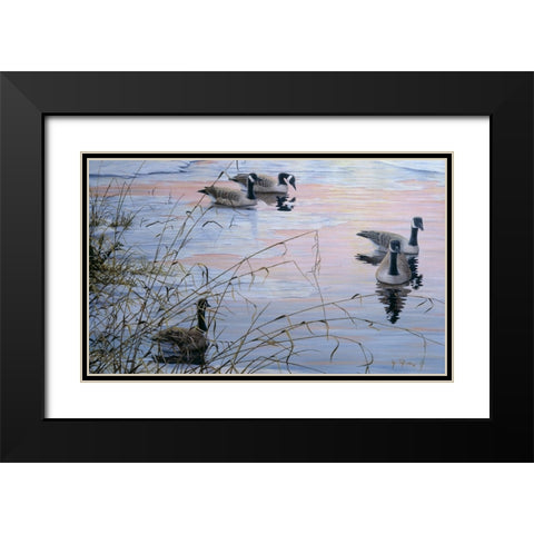 Sunset Serenity Black Modern Wood Framed Art Print with Double Matting by Tift, Jeff
