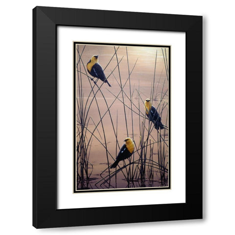 Yellow Headed B Birds Black Modern Wood Framed Art Print with Double Matting by Tift, Jeff