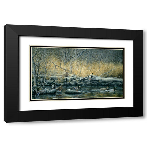 Early Morning Mallards Black Modern Wood Framed Art Print with Double Matting by Tift, Jeff