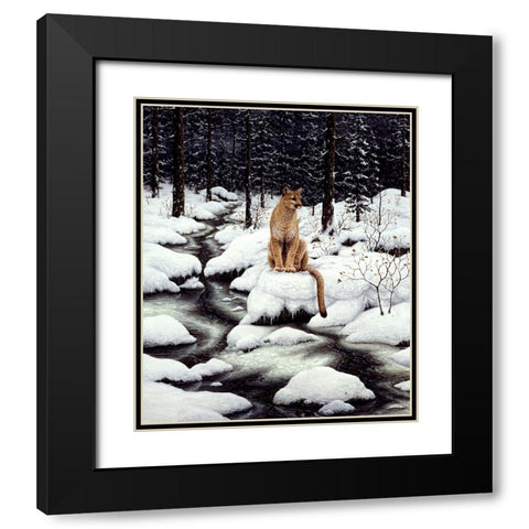 Cougar Black Modern Wood Framed Art Print with Double Matting by Tift, Jeff