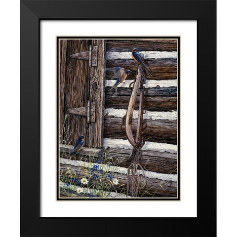 Barn Swallows Black Modern Wood Framed Art Print with Double Matting by Tift, Jeff